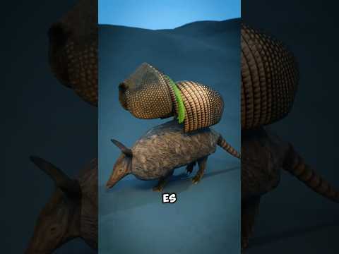 No vas a creer estos momentos de karma instantáneo