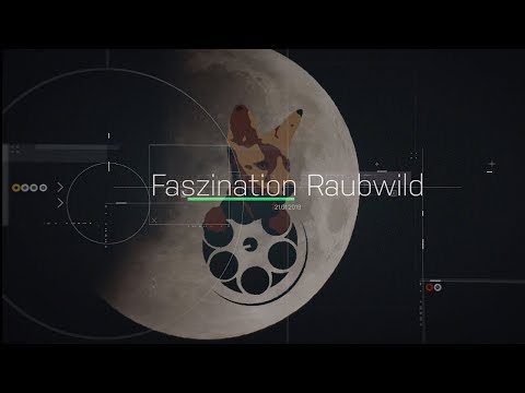 Faszination Raubwild