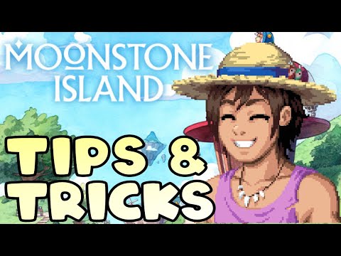 10 Beginner Tips You Should Know Before Playing Moonstone Island!