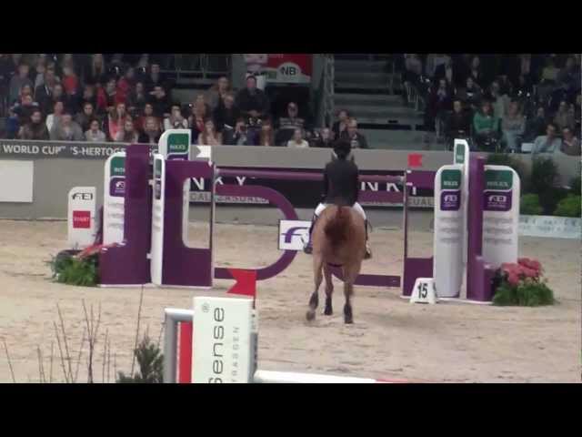 Half-brother of the mother of this Implanted Embryo is the CSI 5* 1.60m horse Itot du Chateau with rider Edwina Tops Alexander.