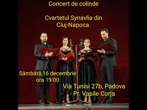 Domneste pacea pe pământ   Cvartetul Synavlia Cluj Napoca Biserica Padova 2 4K
