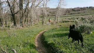 preview picture of video 'Flying Dog - Park City Mountain Biking Trail'