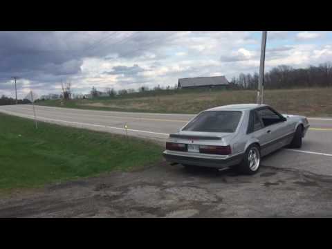Pypes violators fox mustang