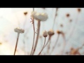 Lusine -  Drip (Apparat Remix)