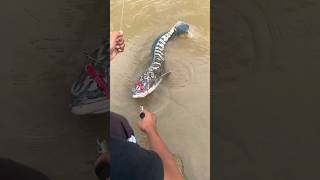 Download lagu imam noer toman @imamnoer mp3 Download lagu imam noer toman @imamnoer mp3