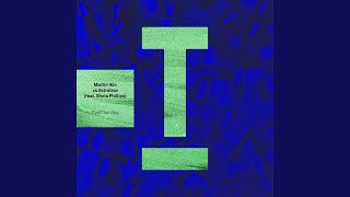 Feel The Vibe (feat. Shola Phillips) [Extended Mix]