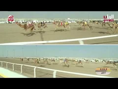  ش 12 (ذباح) لـ  محمد عبدالله ناجم العسكري  5:55:64 , مهرجان الأمير الوالد 2026/2/4 حقايق الشحانية