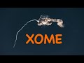 Xome Real Estate The Billion Dollar Failure To Launch
