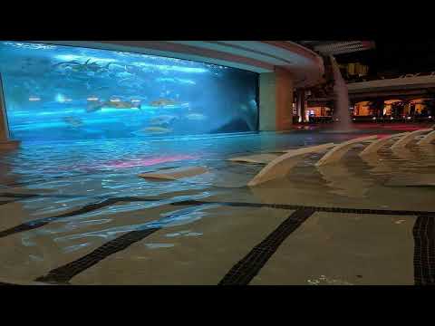 ICYTWAT X PLAYBOI CARTI TYPE BEAT "INFINITY POOL"