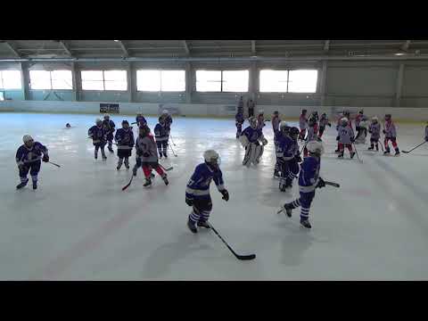 2019.03.23 MU JCK (2) HC Pilsen Wolves - HC Tabor V