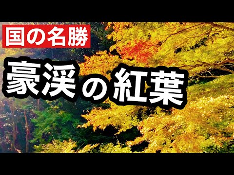 Folhagem de outono em Gokei, um local pitoresco representativo da província de Okayama com belo granito e folhagem de outono❗️ Cidade de Soja, província de Okayama