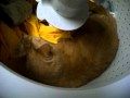 Cat In Washing Machine