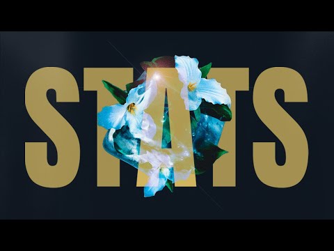 Connor Price - Stats (Lyric Video)