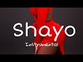 FREE | Shayo - Majeed ft Lojay Type Beat  (Unofficial Music instrumental) Prod by Pizzobeatz
