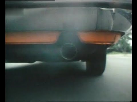 Abgasproblematik 1980