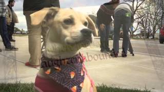 Blondie Princess Tales  YOUCARE