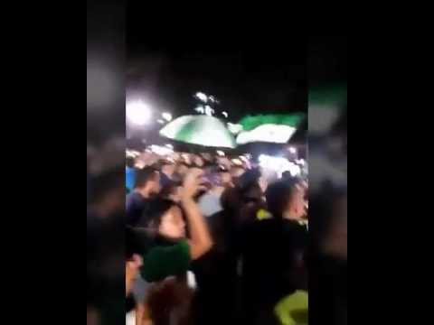 "Campeón al Chapecoense" Barra: Los del Sur • Club: Atlético Nacional