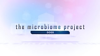 Download the video "The Microbiome Project: Dogs"