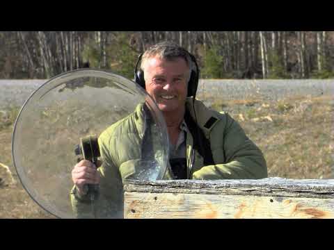 Tiere vor der Kamera