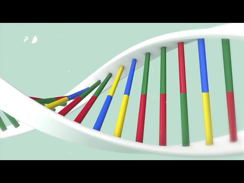 Messenger RNA vaccines | AFP