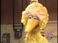 Sesame Street Mumford S Duck Trick
