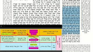 דף יומי מסכת שבועות דף לח Daf yomi Masechet Shevuot page 38  ע"י יוני גוטמן (שיעורי הדף היומי ב-20 דקות – מועבר ע"י ר' יוני גוטמן – לעילוי נשמת אביו ר' אלימלך צבי (צביקה) גוטמן ז"ל) - התמונה מוצגת ישירות מתוך אתר האינטרנט יוטיוב. זכויות היוצרים בתמונה שייכות ליוצרה. קישור קרדיט למקור התוכן נמצא בתוך דף הסרטון