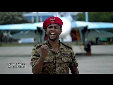 Caalaa Bultumee_Abbaa Malaa_New Ethiopian Oromo Music 2021 (Official Video)