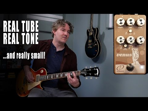 Crazy Tube Circuits Venus real tube overdrive image 3