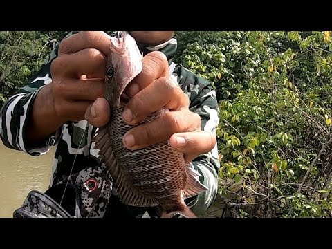 EP132:PART2-PANGANGAWIL SA ILOG/SOLVE ANG PANANGHALIAN