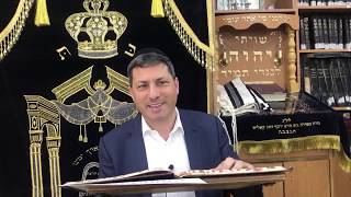 דף יומי מילה דף 10 מאת ר' אלי סטפנסקי