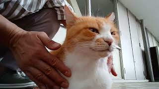 今日のケア😊フミちゃん上手くなったニャン😼✨️