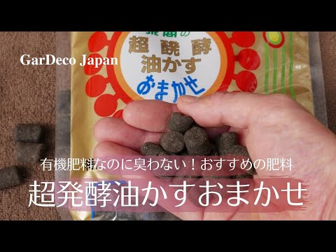 牡丹の肥料：春に適用する最も効果的な天然物は次のとおりです。  庭園