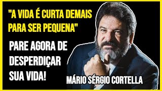 Mario Sergio Cortella - Frase A vida é curta demais para ser pequena | Motivacional