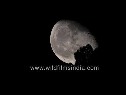 Stunning moonrise over the Himalaya - Bad moon rising or beautiful yellow chand?