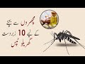 Ghar Se Machhar Bhagany Ka Asan Tarika | How to Get Rid of and Kill Mosquitoes | EASY HOME REMEDIES