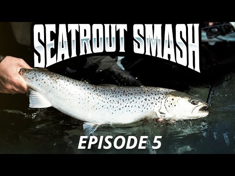 Seatrout Smash 3 - Episode 5 (Valgfri Dag)