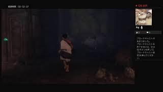 暇だから大鷲のトリコやる。part1