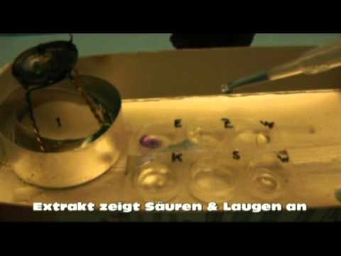 Blüten-Farbe extrahieren&testen - Extracting dye as indicator