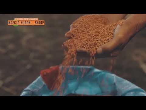 Jepja hakun puntorit, para së t’i thahet djersa!