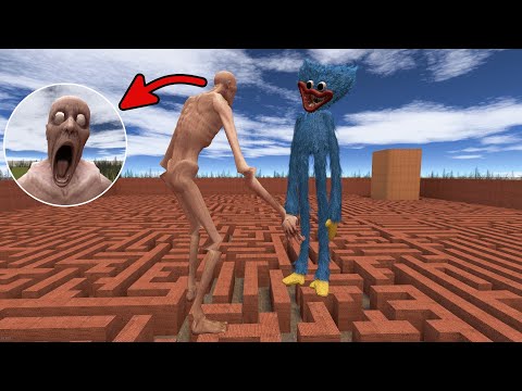 SCP-096 VS HUGGY WUGGY IN MAZE in Garry's Mod!