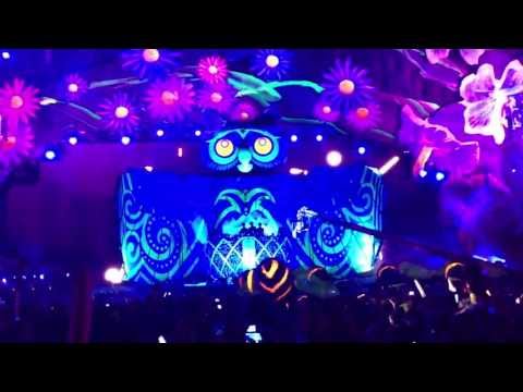 Night Owl Experience @ EDC Las Vegas 2013 [1080p]