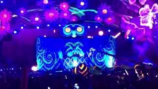 Night Owl Experience @ EDC Las Vegas 2013 [1080p]