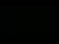 Custards DVD Trailer