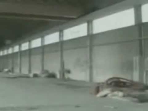 ONDA TG 13.02.2013 - RAPINA COMMERCIANTE BESTIAME: SEI ARRESTI