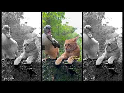 💪💪💪 STEP ASIDE 💪💪💪 #leopartnik