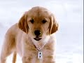 Snow Buddies Disney Channel Africa