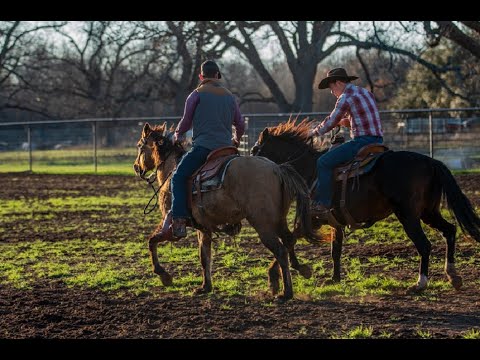 Movie Review Episode 3- Roped