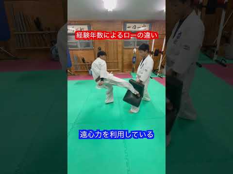 【空手】経験年数による下段蹴り　ローキックの威力の違い！！#aikido ＃karate #martial #合気道 #武道 #空手
