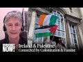 Irish Lawmaker: Recognizing Palestine as a State Is Rooted in Our History of Colonization & Famine