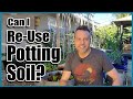 Can I Re-use Old Potting Soil in Containers? // How to Revitalize Old Potting Soil